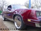 Filename=raised01cutlass03.jpg
Filesize=227KB
Dimensions=1280x960
Date added=Sep 30, 2005 raised01cutlass03.jpg