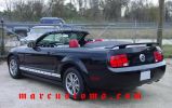Filename=05mustangcvert17.jpg
Filesize=116KB
Dimensions=1024x644
Date added=Jan 22, 2007 05mustangcvert17.jpg